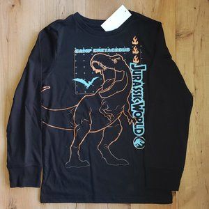Boy's Black Camp Cretaceous Jurassic Long Sleeve T-shirt